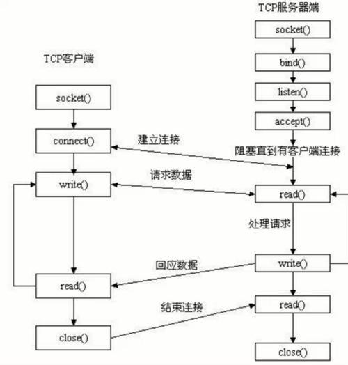 TCP 网络应用程序开发流程(应用程序网络流程程序开发连接) 软件开发