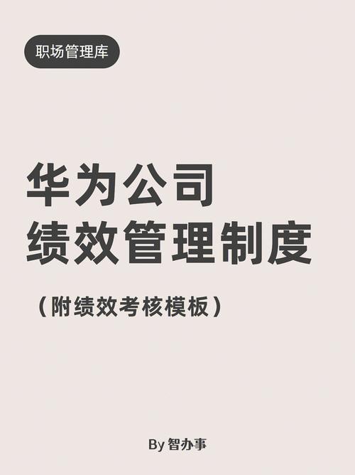 你就懂了(华为绩效战略你就这份) 软件优化