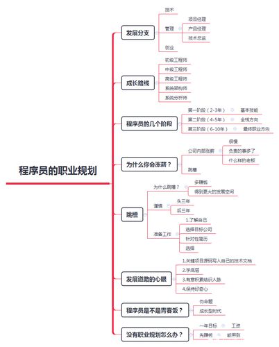 一个程序员的晋升之路(程序员晋升自己的之路技术) 99链接平台