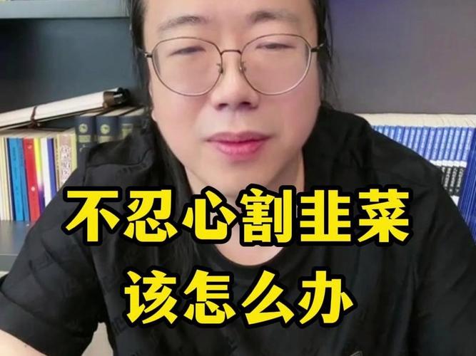 明知割韭菜却无法抗拒(掌机开源玩家韭菜拿捏) 软件优化