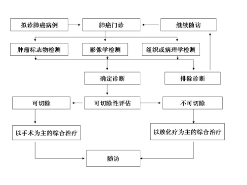 加速肺癌诊断、治疗的流程(肺癌治疗诊断大学公司) 软件开发