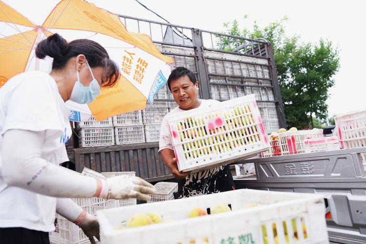 大众日报关注丨数字平台如何赋能乡村振兴？临沂、枣庄有高招(生态产品资源交易交易中心) 99链接平台