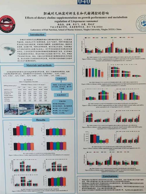 学术会议墙报制作经验分享(墙报制作学术会议研究图表) 软件开发