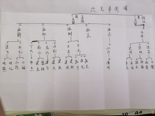 来寻找自己家族的族谱(族谱家族家谱地方分卷) 软件开发