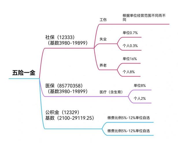 五险一金(设计院建筑工程人员工程设计录用) 软件开发