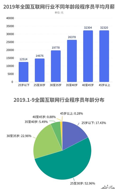 猎聘程序员就业大数据报告：90后成行业主力 占比超70%(程序员互联网行业城市职能) 99链接平台