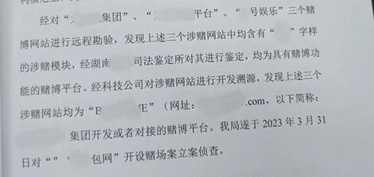 程序员开发赌博软件怎么判刑？无罪、罪轻辩护思路要点(赌场赌博开设不起诉程序员) 99链接平台