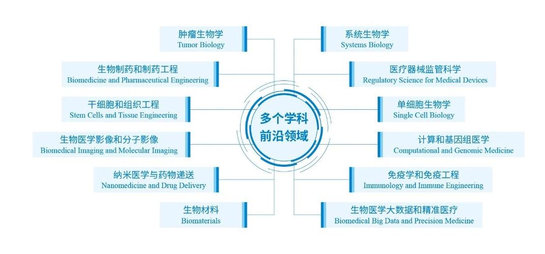 医学信息工程与生物医学工程：专业解读与前景展望(医学信息工程生物医学工程专业) 99链接平台