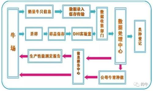 农业主推技术：奶牛生产性能测定（DHI）技术(采样测定奶牛技术生产) 软件优化