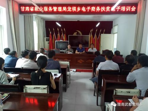 龙坝乡召开贫困退出软件资料整理工作培训会(陇南整理工作退出资料) 软件优化