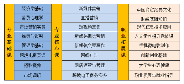 快速学习：《内容营销策略》课程(内容您的受众营销策略营销) 软件优化