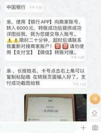 厦门现贷款新骗局“贷款公司”APP让男子被骗近八万(贷款银行卡客户自己的转账) 软件开发