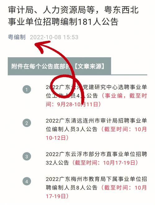 “职”等你来！新兴县审计局招聘工程造价类审计专才（附岗位要求）(审计局人员聘用面试应聘) 软件开发