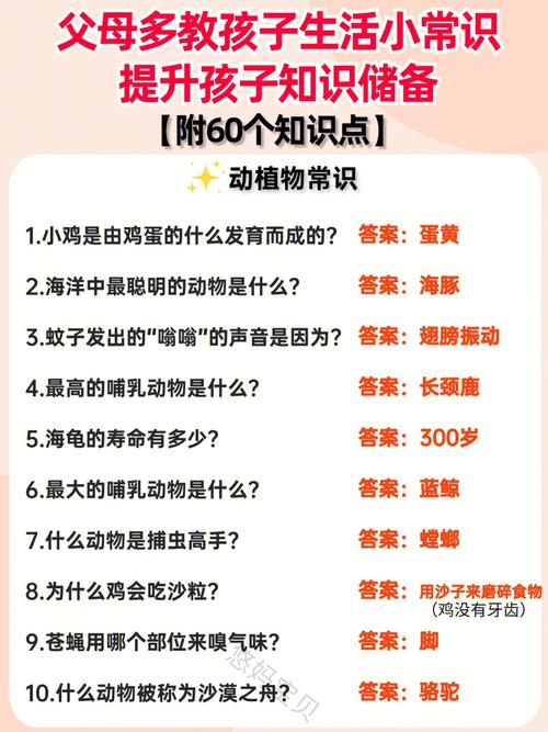 你需要储备什么知识？(储备知识制作搭建大明) 软件开发