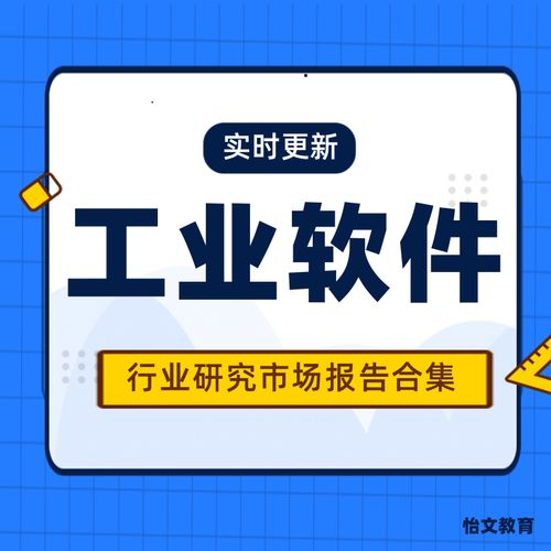 中国信息技术开发软件行业市场研究报告(信息技术开发软件分析销量市场规模) 99链接平台