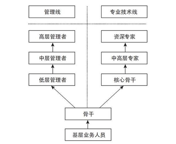 任职资格之职业发展通道设计(通道岗位职业发展职位转换) 软件优化