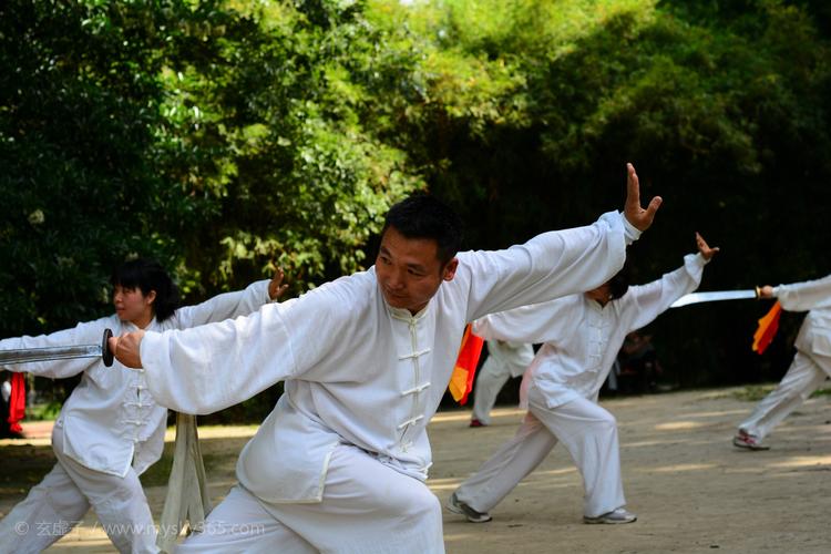 科技范儿的太极拳来了→(太极拳实验室研究习练来了) 排名链接