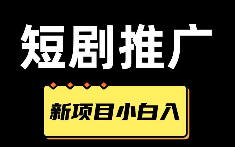 打造新的蓝海项目(短剧分销平台较高项目) 软件优化