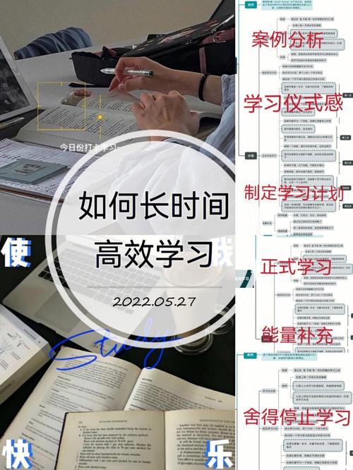 如何高效学习《Access快速开发基础教程》书籍(本书基础教程高效开发读者) 软件开发