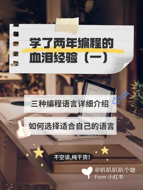 可以培训做程序员？过来人血泪经验告诉你(程序员职场告诉你过来人血泪) 软件开发