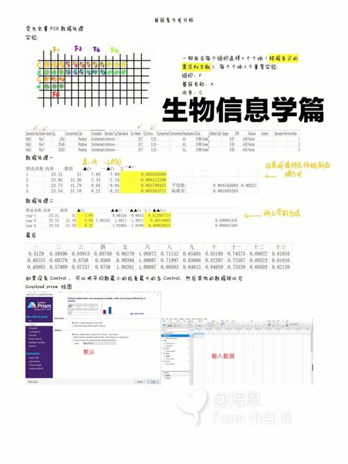 该如何自学入门生物信息学(生物数据基因分析信息学) 99链接平台