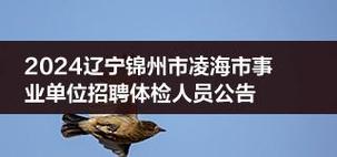 重磅！锦州市凌海事业单位招录14人(招录事业单位叫我重磅笔试) 软件优化