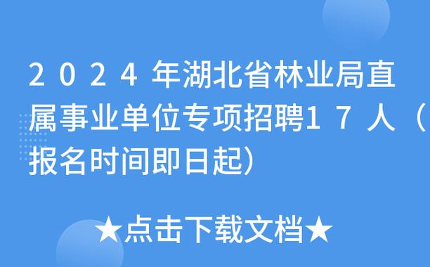 湖北这些单位正在招人(招聘网上报名报名时间报名方式招人) 软件开发