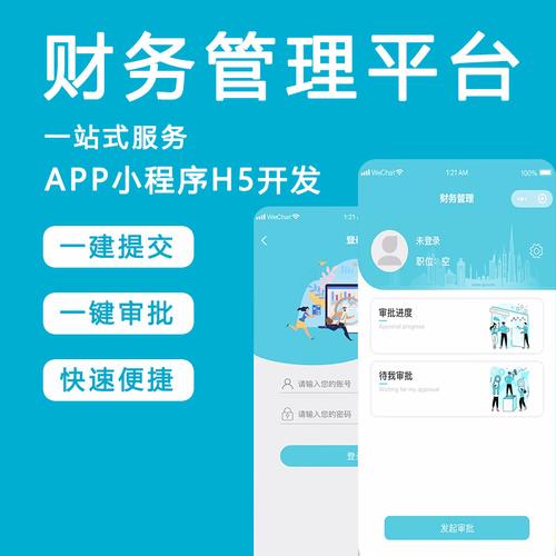 记账财务APP开发记账财务APP系统开发(记账财务开发程序软件系统) 软件优化