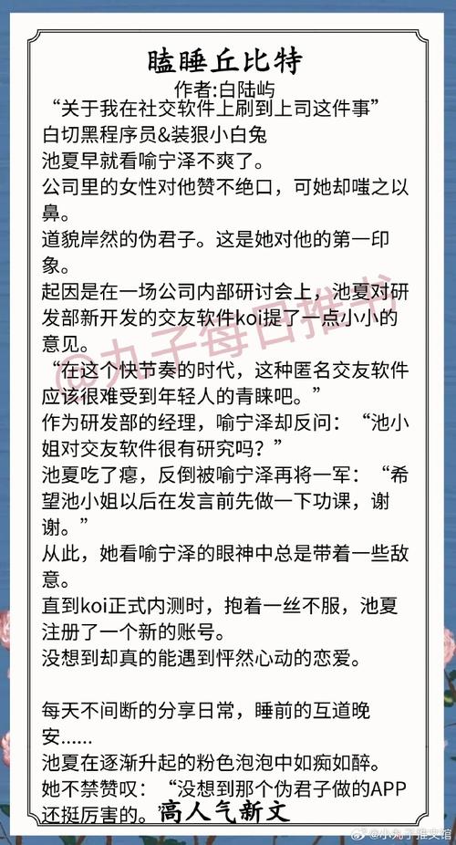 分享一些小说导航站(小说导航我是包包言情小说) 软件优化