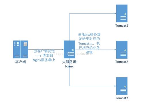 【Nginx】安装部署、配置文件和反向代理的简单探索(代理请求配置文件服务器配置) 排名链接