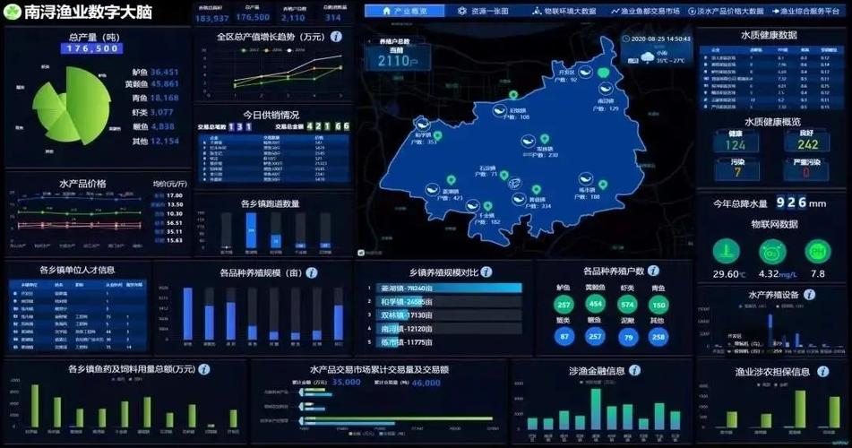 阳江高质量推进国家数字乡村试点示范(阳西数字渔船数字化海上) 软件开发