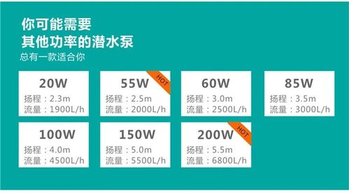 潜水装备商城app开发解决方案(潜水装备商城用户流量) 软件开发