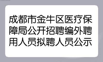 金牛区委组织部招聘编外工作人员(金牛人员应聘体检面试) 99链接平台