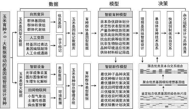 信息化育种的实施步骤和要点(育种信息化种质作物数据) 软件开发