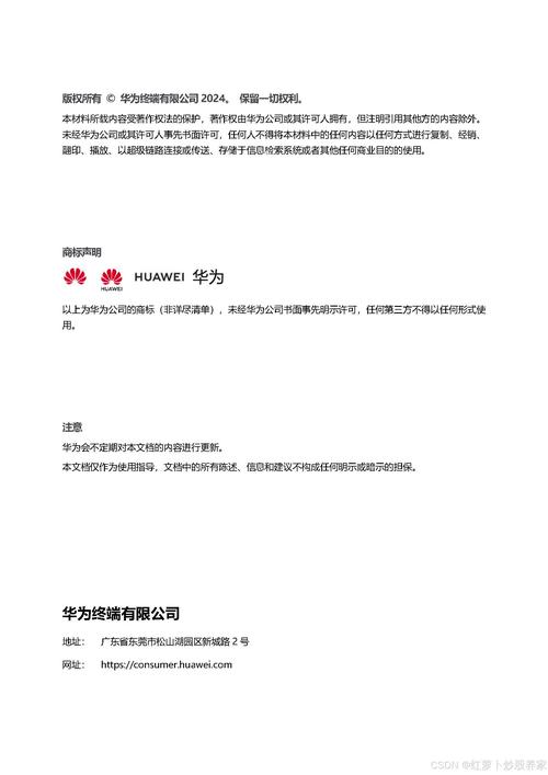 践行“应用为王，服务至上”｜2024商业同行者(华为科技客户业务能力) 排名链接