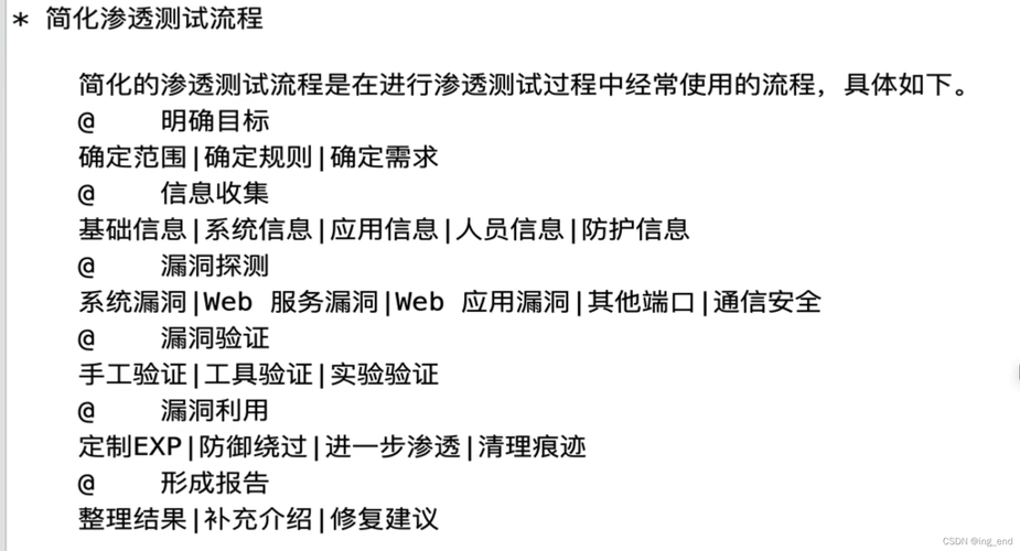 新手也能看懂的学习指南(渗透学习测试网络安全漏洞) 软件优化