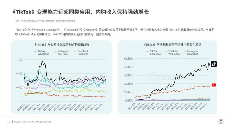 路亿市场策略-全球实时支付软件市场前景发展研究报告(实时支付收入软件美元) 99链接平台