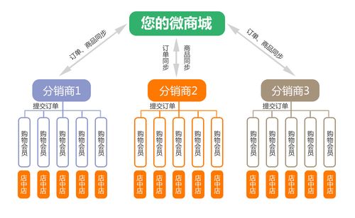 爆品方法论：微商分销1年内做到1500万会员的商业逻辑！(品类品牌产品差异化战略) 软件优化