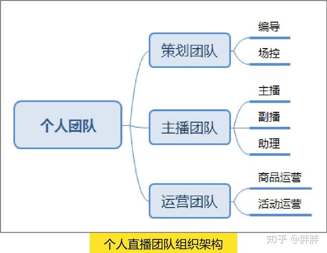 直播团队组建、主题策划及乱象整治(直播互动观众内容团队) 99链接平台