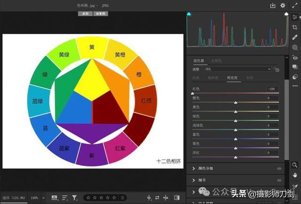 一张图就让你学会调色软件的HSL工具 | 高级灰人像调色(调色环中让你拖拽滑块) 99链接平台