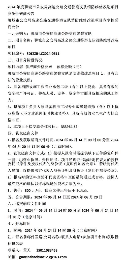 邹平经开区部分道路路灯维修提升项目竞争性磋商公告(磋商项目文件竞争性投标) 软件开发