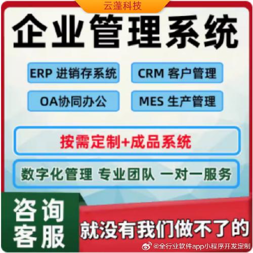 crm系统定制开发公司(开发定制公司软件企业) 软件开发