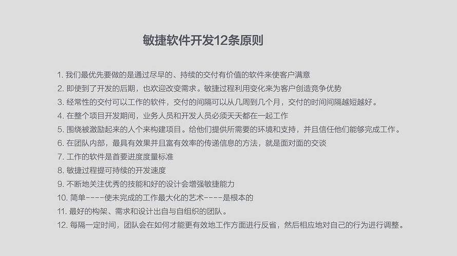 「不忘初心」敏捷开发宣言及原则(开发初心交付胜过软件) 软件优化