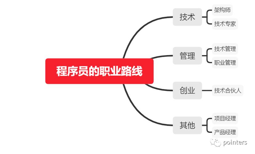 随便谈谈Java程序员的职业规划(程序员的人开发自己的技术) 软件开发