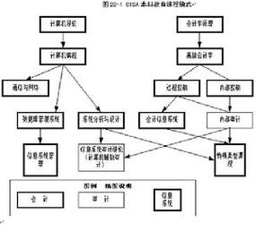 IT审计标准以及原则(审计信息系统审计师标准审计工作) 软件优化