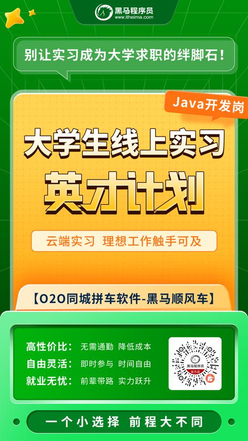 再现由非专业程序员研发的互联网平台，风头正劲(互联网程序员阿里专业京东) 软件开发