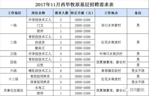 找工作速看！这些企业急聘人才(岗位人数科技有限公司月薪周岁) 软件开发