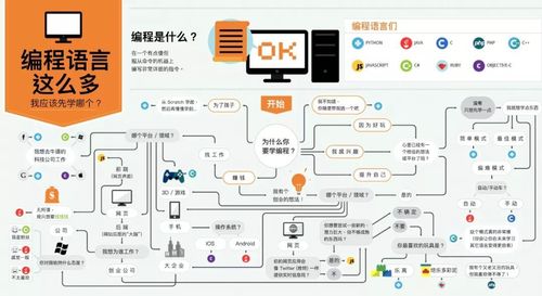 做程序员入坑前必看(语言开发选择人工智能底层) 软件开发