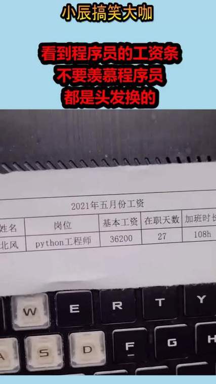 程序员在国企上班月薪多少才够花？(国企程序员工作工资上班) 软件优化