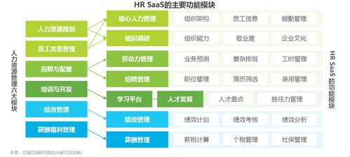 为企业选型HR管理系统提供一些建议(管理系统选择供应商组织员工) 99链接平台